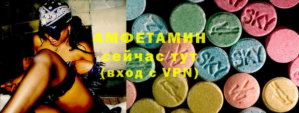 шишки Заволжье