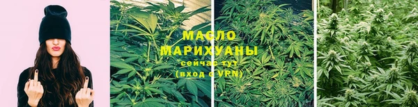 шишки Заволжье