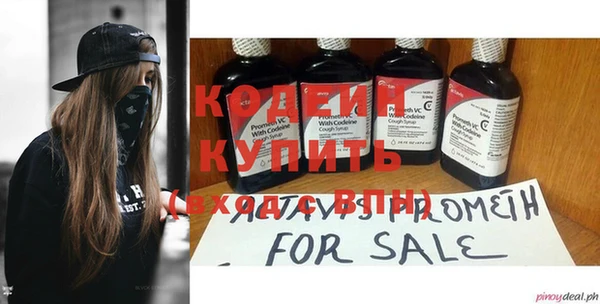 шишки Дмитровск