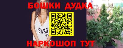 прущие крисы Гатчина