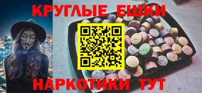 прущие крисы Гатчина